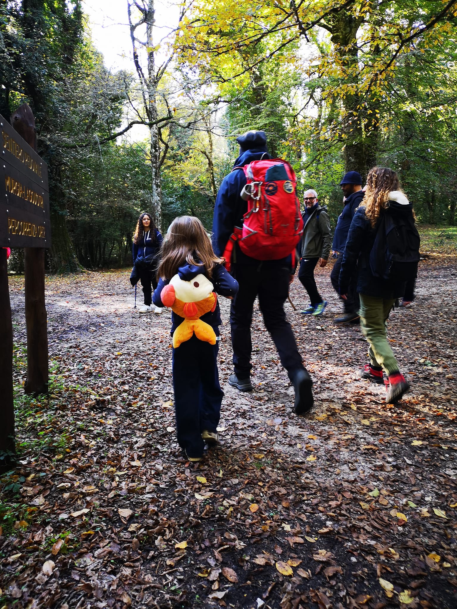 Trekking dei cutini della Foresta Umbra per famiglie